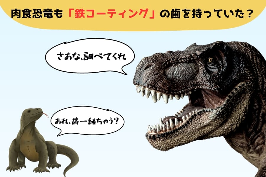 肉食恐竜も「鉄コーティング」の歯を持っていたかも
