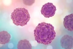 内在性レトロウイルスがヒトがん細胞で高い活性を示した
