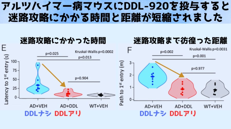 DDL-920取消了伽马波产生的限制。图的最右侧显示了健康小鼠的表现。