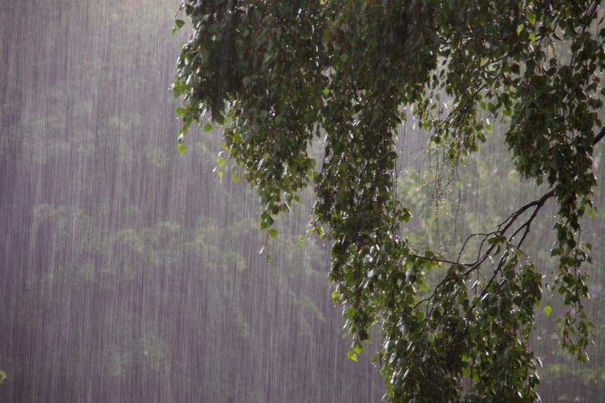 多くの人は、雨が降ったり寒くなったりすると、「関節が痛くなる」と考える