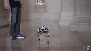 MITが4足歩行ロボットの宙返りに世界初の成功の画像 2/4