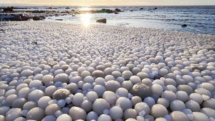 突然「氷の卵」でびっしり埋め尽くされた海岸!?　 その正体とは（フィンランド）