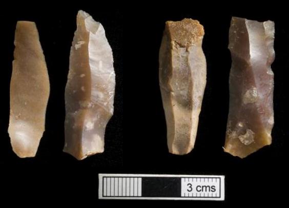 人類最古のDNAを調査、考古学の謎が一つ解けるの画像 2/2