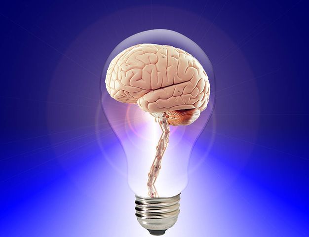 実験室で培養された「ミニブレイン」から初めて人間のような「脳波」が確認されるの画像 1/2