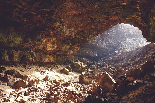 洞窟内で初期人類とクマが同居していた可能性を示す研究が発表されるの画像 1/3