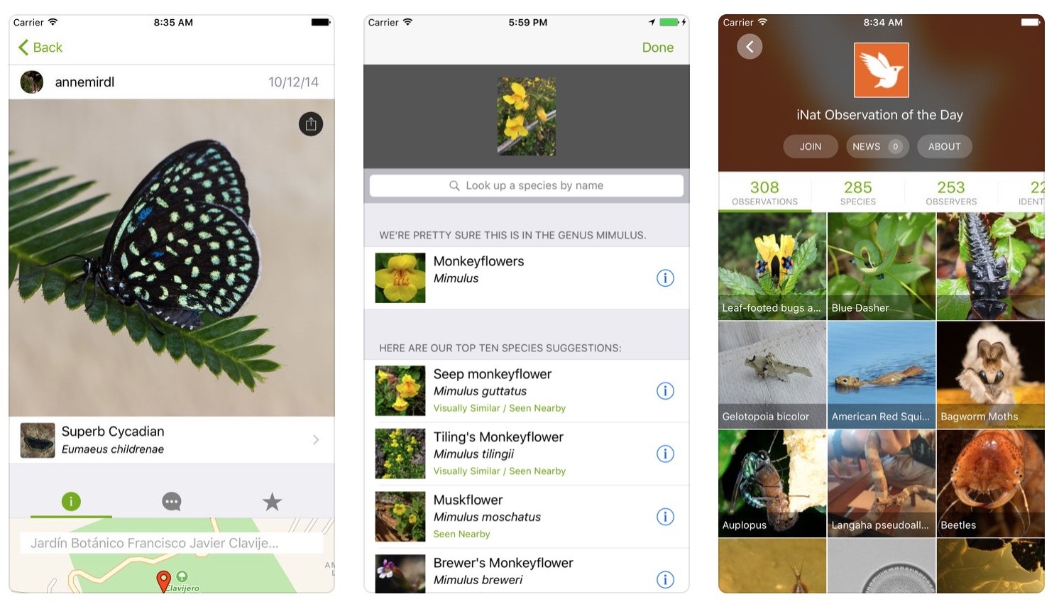 誰でも自然探索！動物や植物の名前を教えてくれるアプリ『iNaturalist』 ナゾロジー