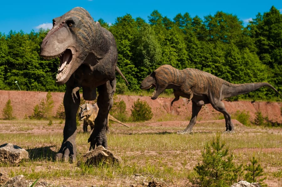 「ティラノサウルスを草食恐竜で倒すには？」先生が思わず唸った「夏休み子ども科学電話相談」の質問が面白い