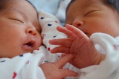 男女でも一卵性！？非常に珍しい「準一卵性」の双子が世界で初めて妊娠中に発覚の画像 1/2