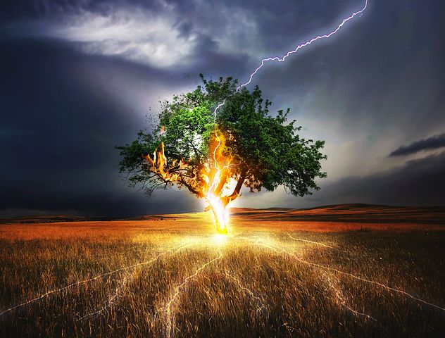 イギリスで15,000発の記録的な落雷。神秘的な「雷樹」現象も発生