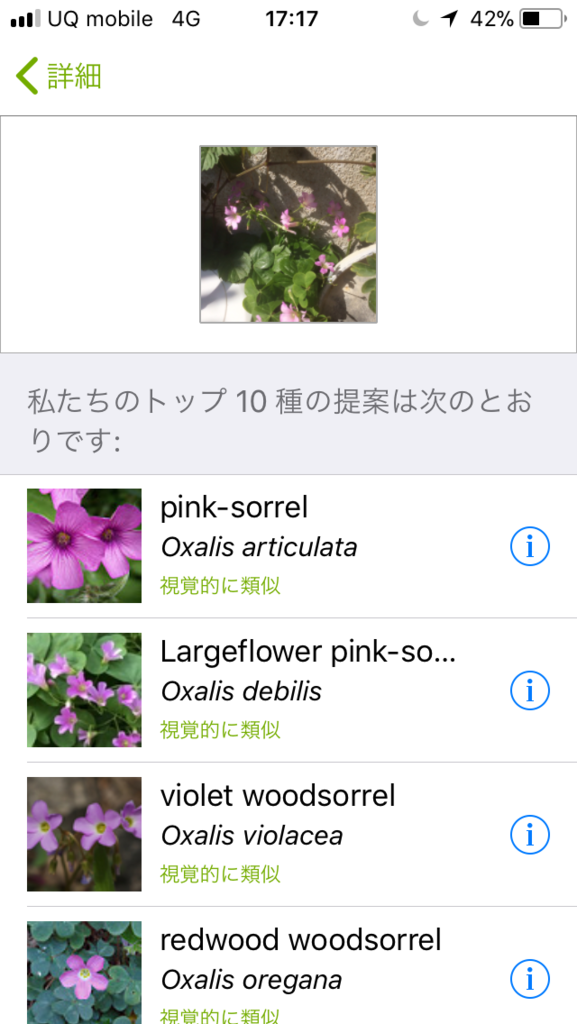誰でも自然探索！動物や植物の名前を教えてくれるアプリ『iNaturalist』の画像 5/11