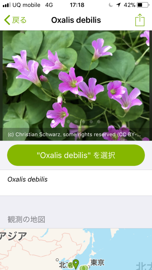 誰でも自然探索！動物や植物の名前を教えてくれるアプリ『iNaturalist』 (2/2) ナゾロジー