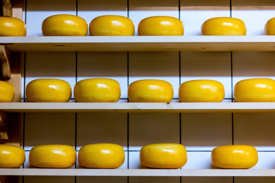 【最難関】チーズマニアしか解けない8種のチーズ産地当てクイズ！
