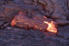 謎が深すぎる。植物すらいないハワイ溶岩で唯一生き延びる「溶岩コオロギ」の画像 6/6