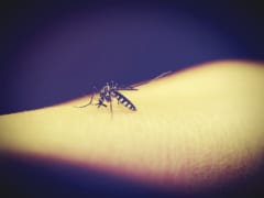 蚊に狙われやすい人とは　画像