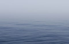 海は人類が排出したCO2を3割も吸収していたと判明の画像 1/2