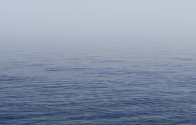 海は人類が排出したCO2を3割も吸収していたと判明