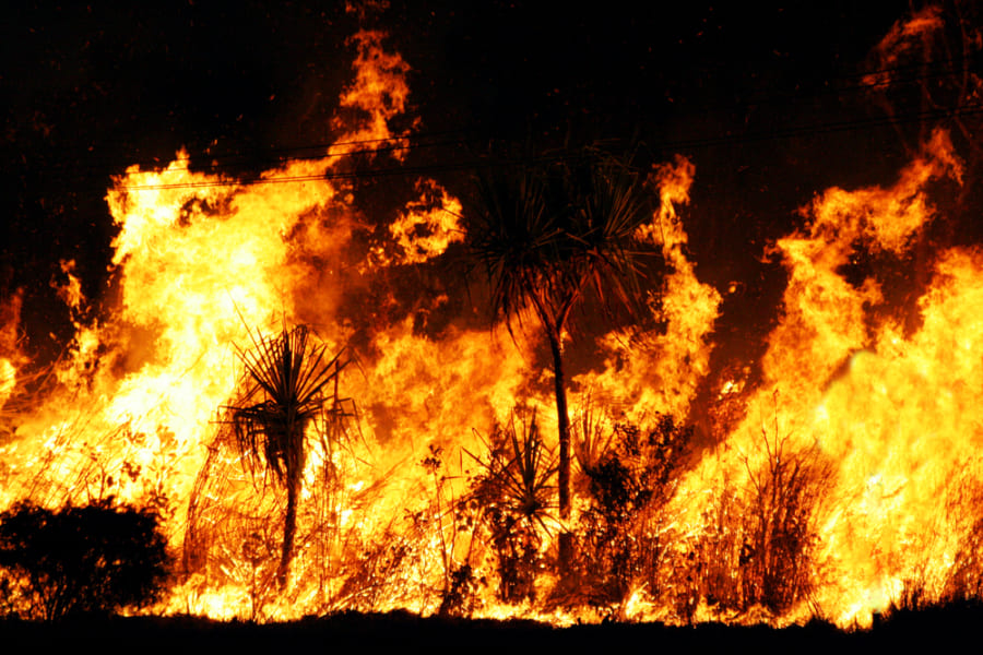 乾燥地帯の大規模な火災は水のある場所で起こる？