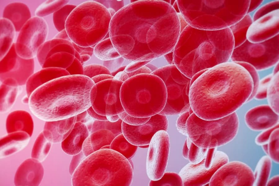 「人工赤血球」で大量出血したウサギの救命に成功！