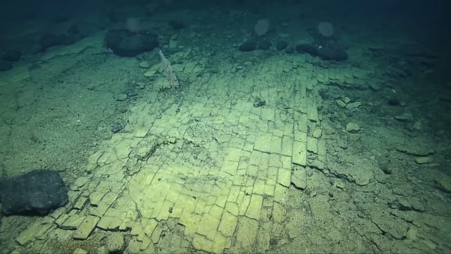 ハワイ沖海底3000mに「黄色いレンガ道」を発見⁉︎   その正体とは？