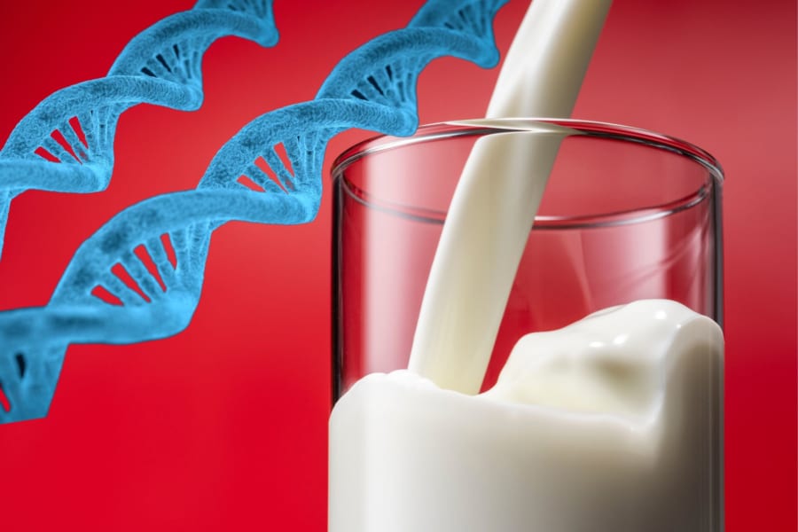人間が牛乳でお腹を壊さなくなったのわずか数千年で獲得された進化だったと判明！