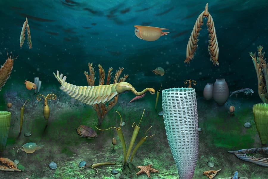 4億6千万年前の海洋世界をすっぽり保存した化石群がイギリスで見つかる！