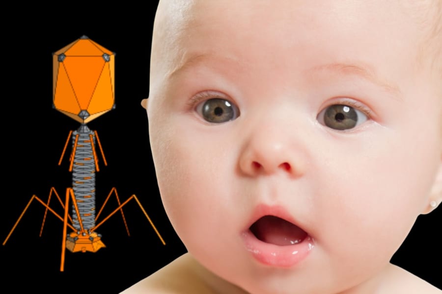 赤ちゃんのウンチから1万種の「未知のウイルス」を発見！