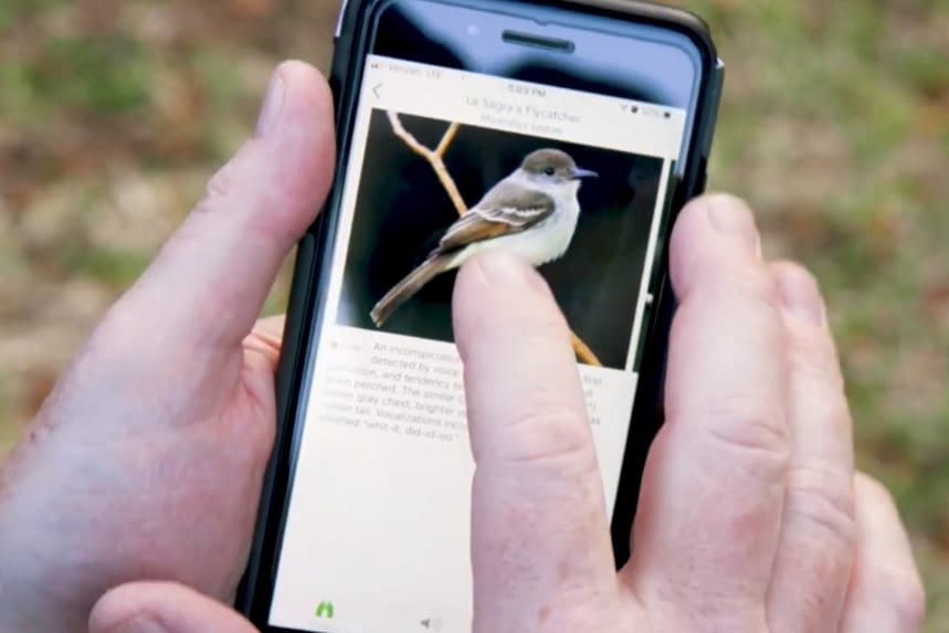 世界中のほぼすべての鳥の種類を判別できるスマホアプリ