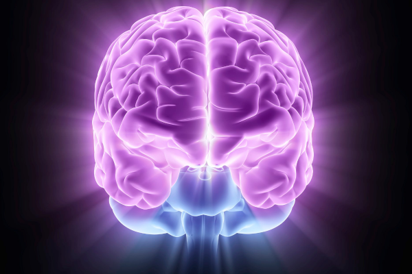 「人間は脳の10％しか使用していない」これって本当なの？