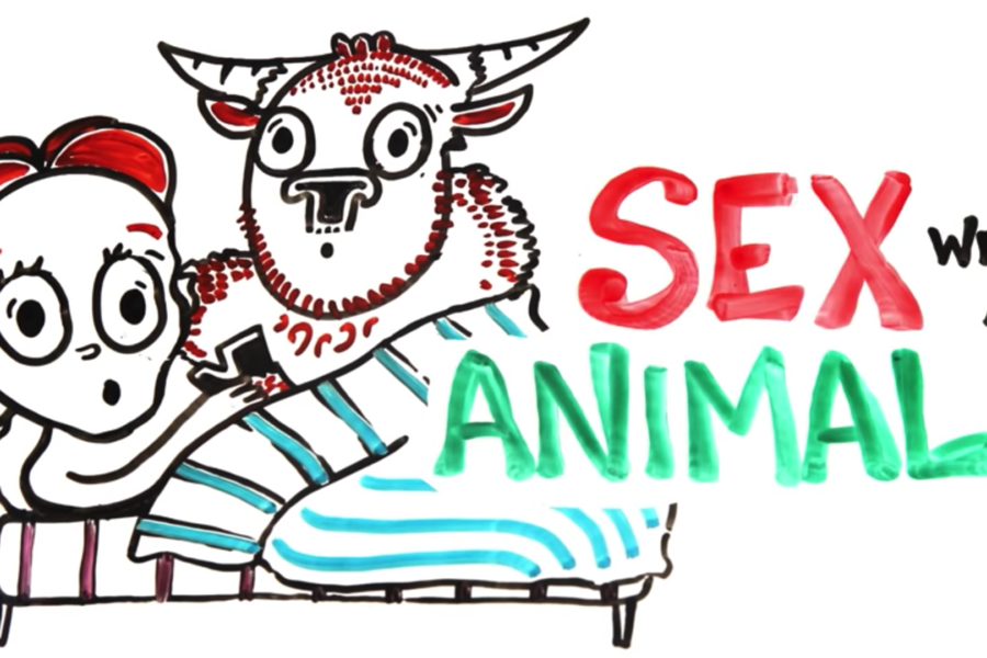もし動物と性行為をしたらどうなるの？