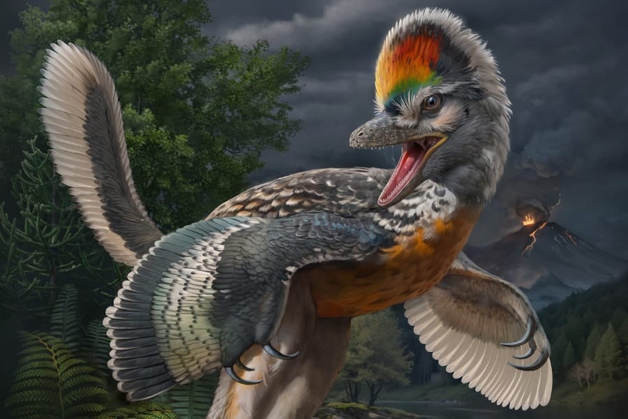 恐竜と鳥のミッシングリンクを埋める「新種の恐竜」を中国で発見！