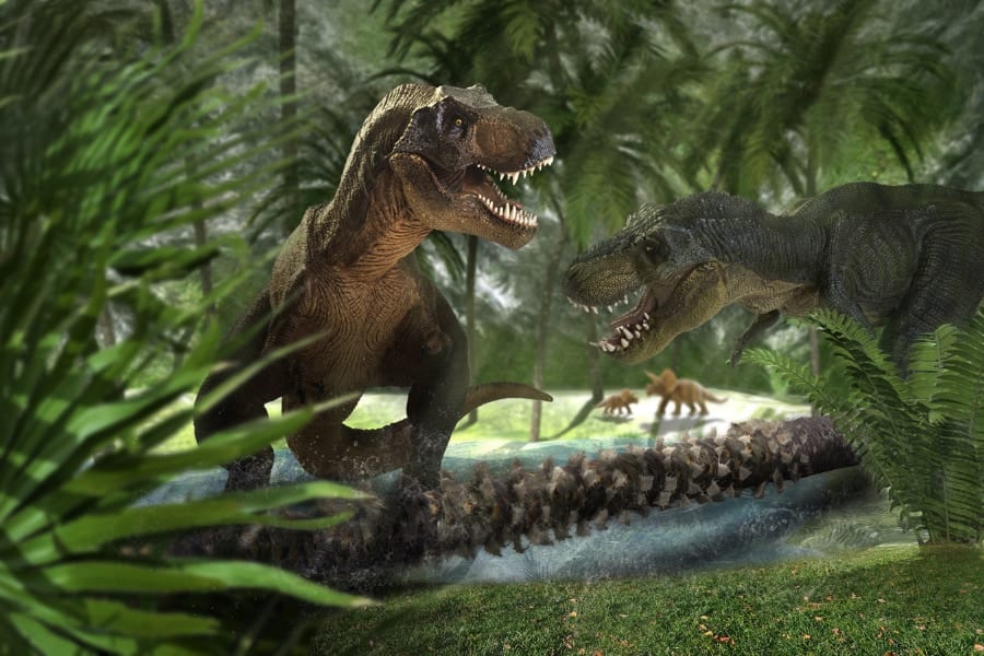 恐竜の存在が哺乳類の寿命を短くしたのかもしれない