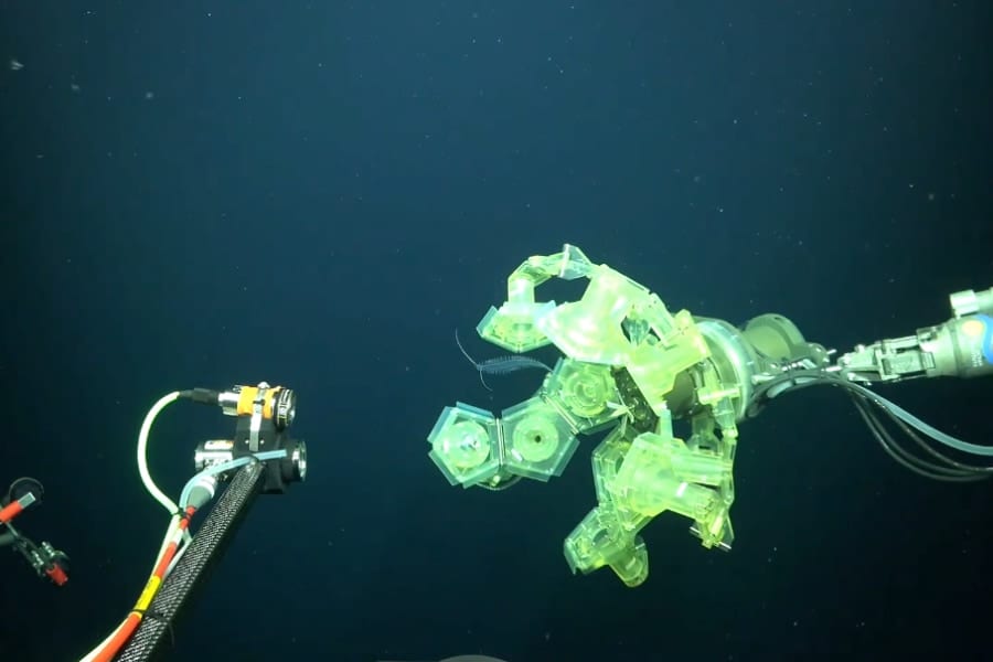 幽霊みたいな深海生物たちを3D撮影する新型ロボットアーム