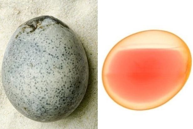 ローマ時代の遺跡で発見された1700年前の卵をCTスキャンした結果…「中身が未だに液状だった」