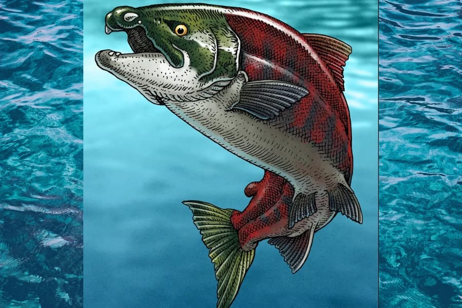 全長2.7mの怪物サーモン！特徴的な牙を持つ古代の巨大鮭の謎