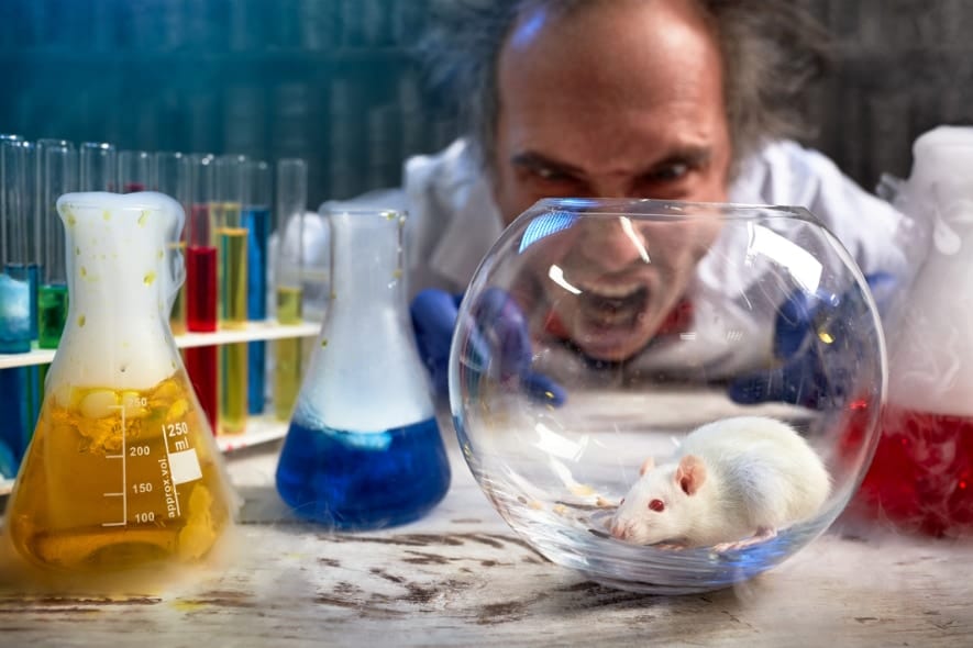 「人間臭い実験マウス」わざと指示を間違えて研究者を困らせていた