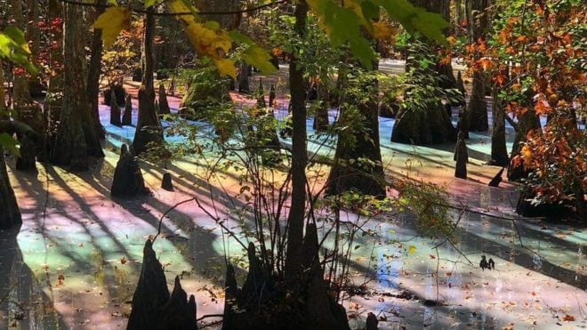 本当に現実？ 神秘的な「虹色の沼」写真がSNSで大流行！ 果たして原因は？
