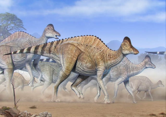 ついに恐竜の化石からDNAとタンパク質が初検出される