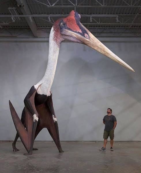 史上最大の翼竜ケツァルコアトルスの復元像がコワすぎる