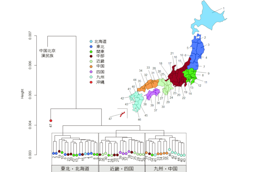 日本人の遺伝子を「47都道府県レベル」で初めて解析することに成功！ 四国・近畿がもっとも”渡来人”の遺伝子に近かった